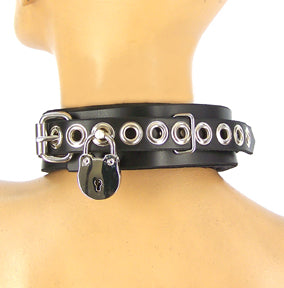 Classic Locking Lined Collar
