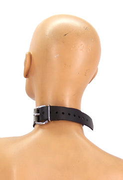 Leather Metal Band Single Ring Bondage Collar