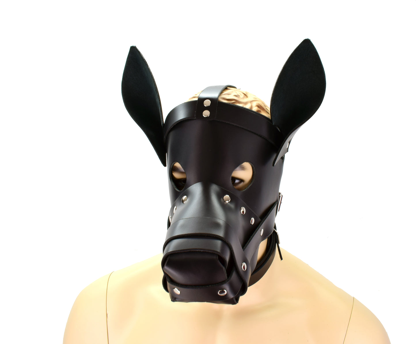 The Big Dog Hood