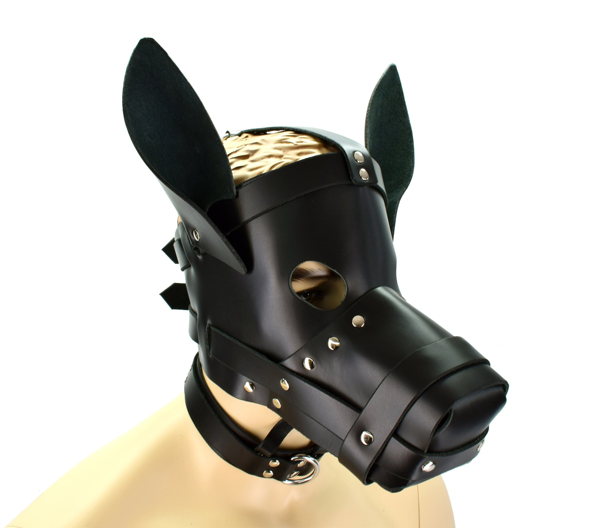 The Big Dog Hood