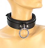 Classic Locking Lined Collar